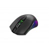 HAVIT Dual Mode RGB backlit Wireless + USB Wired gaming mouse